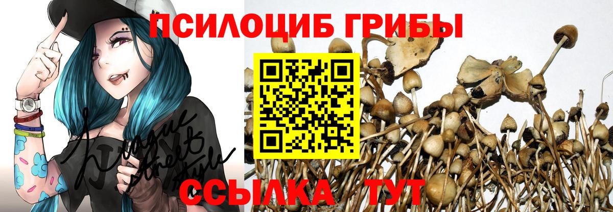 Псилоцибиновые грибы Magic Shrooms Киселёвск